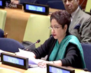 India’s policy to isolate Pak a ’fool’s errand’: Lodhi